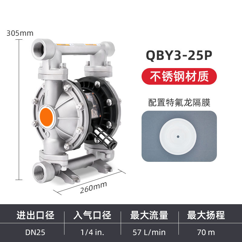 1 in Stainless steel AODD Pump